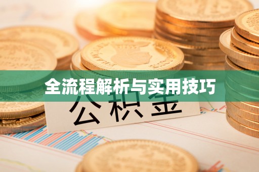 伊犁全流程解析与实用技巧