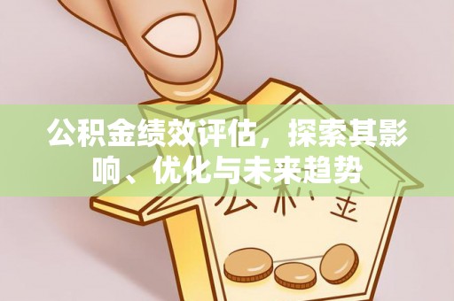 伊犁公积金绩效评估，探索其影响、优化与未来趋势