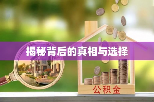伊犁揭秘背后的真相与选择