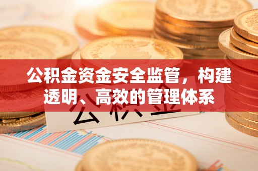 伊犁公积金资金安全监管，构建透明、高效的管理体系