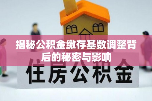 伊犁揭秘公积金缴存基数调整背后的秘密与影响
