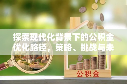 伊犁探索现代化背景下的公积金优化路径，策略、挑战与未来展望
