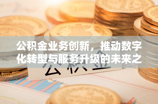 伊犁公积金业务创新，推动数字化转型与服务升级的未来之路