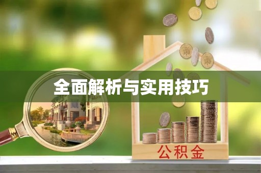 伊犁全面解析与实用技巧