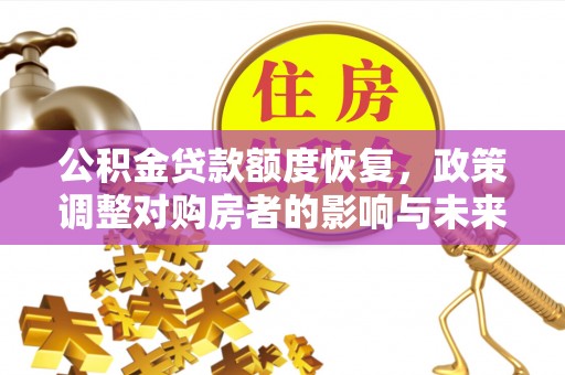 伊犁公积金贷款额度恢复，政策调整对购房者的影响与未来展望