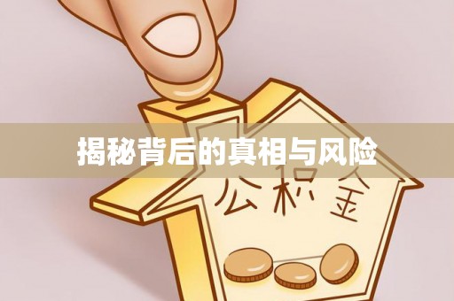 伊犁揭秘背后的真相与风险