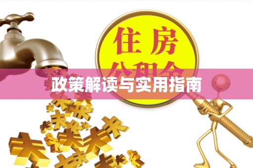 伊犁政策解读与实用指南