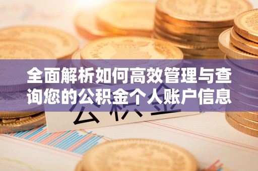 伊犁全面解析如何高效管理与查询您的公积金个人账户信息