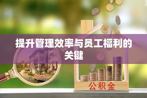 伊犁提升管理效率与员工福利的关键