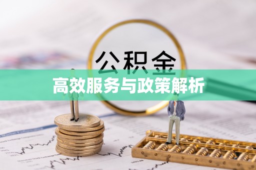 伊犁高效服务与政策解析