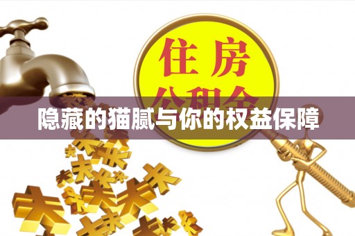 伊犁隐藏的猫腻与你的权益保障