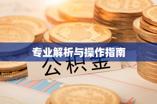 伊犁专业解析与操作指南