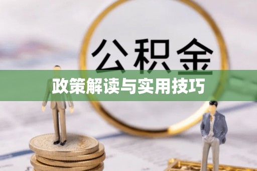 伊犁政策解读与实用技巧