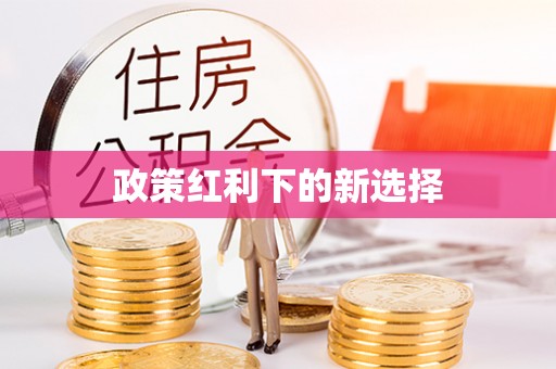 伊犁政策红利下的新选择