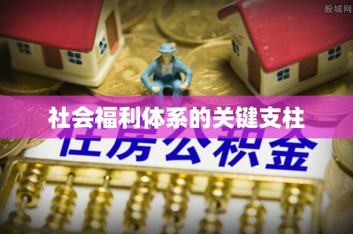 伊犁社会福利体系的关键支柱
