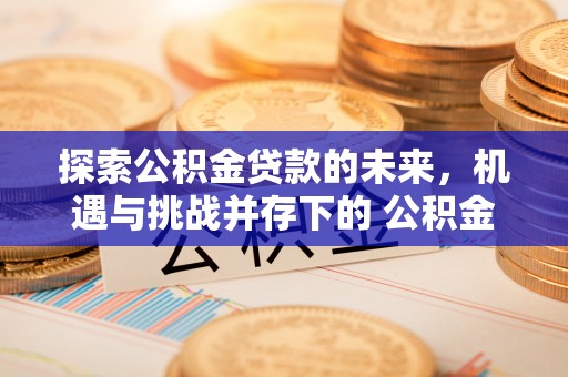 伊犁探索公积金贷款的未来，机遇与挑战并存下的 公积金贷款风险防控