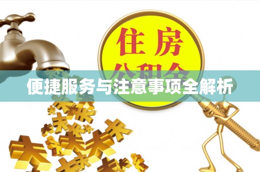 伊犁便捷服务与注意事项全解析