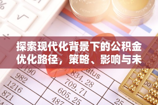 伊犁探索现代化背景下的公积金优化路径，策略、影响与未来展望