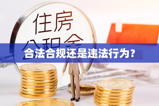 伊犁合法合规还是违法行为？