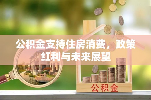 伊犁公积金支持住房消费，政策红利与未来展望