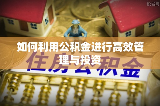 伊犁如何利用公积金进行高效管理与投资