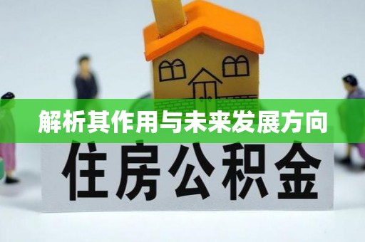 伊犁解析其作用与未来发展方向