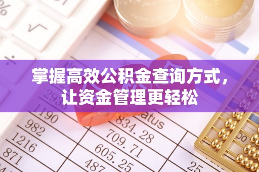 伊犁掌握高效公积金查询方式，让资金管理更轻松
