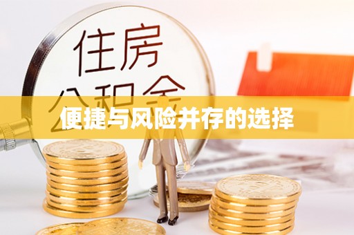 伊犁便捷与风险并存的选择