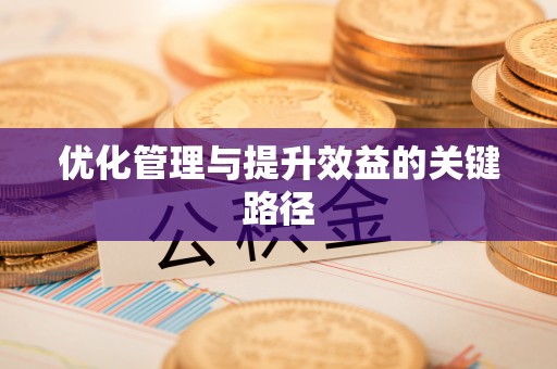 伊犁优化管理与提升效益的关键路径